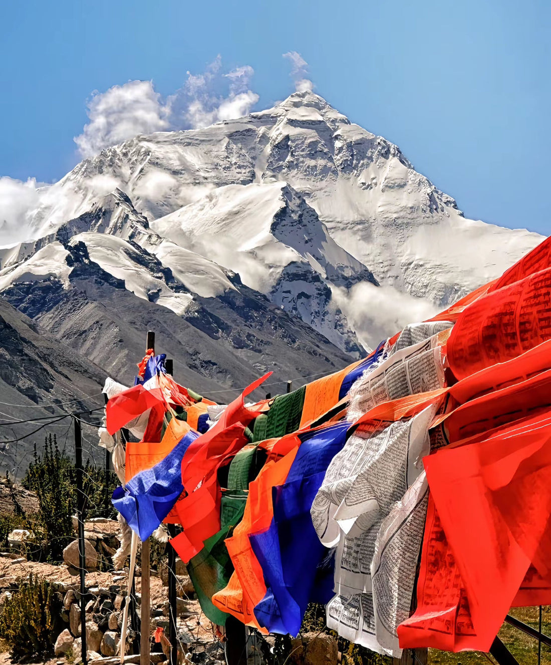 Pray Flag & Himalaya