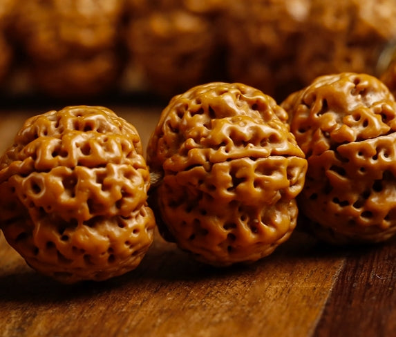 Rudraksha mala — detail view 5