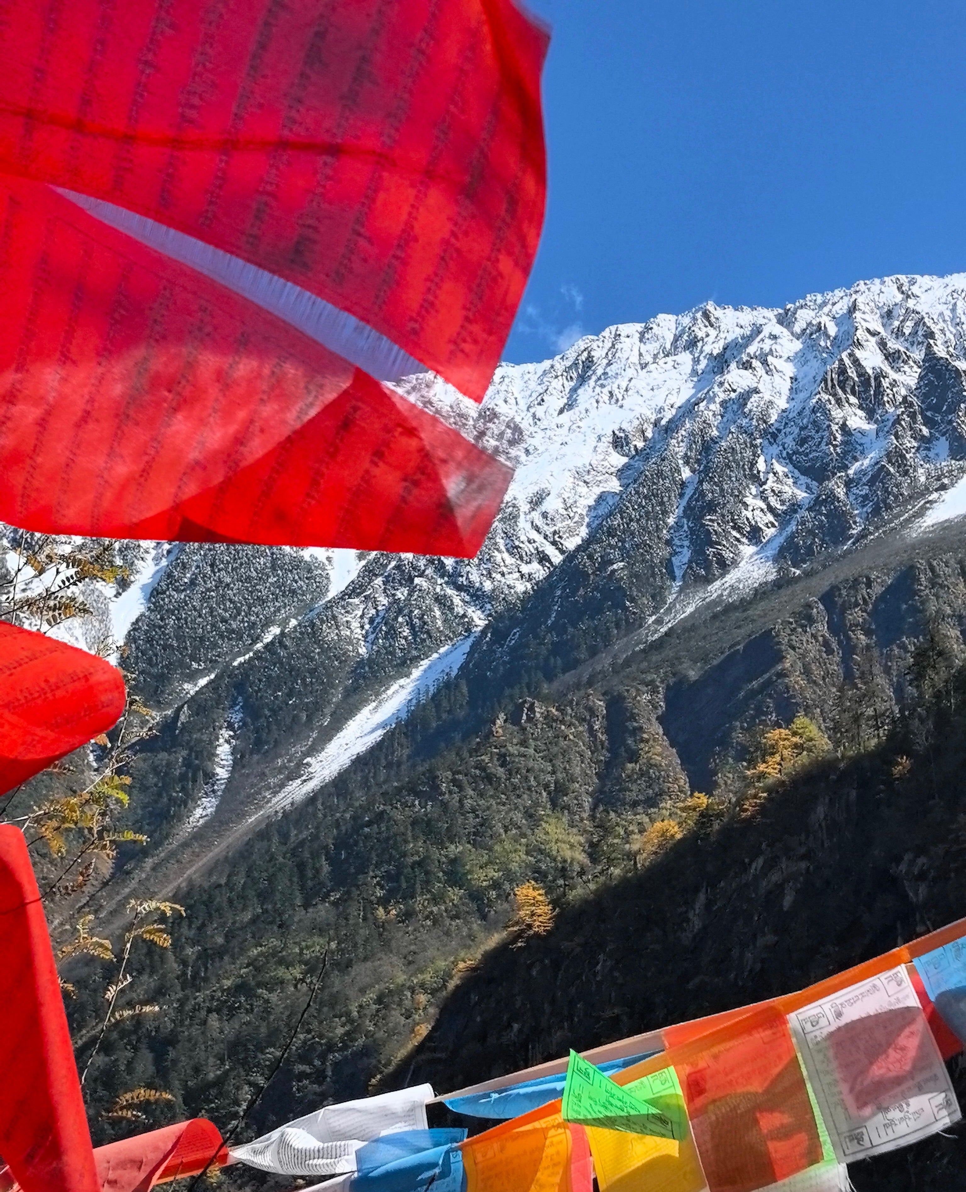 Tibetan Prayer Flag Offering